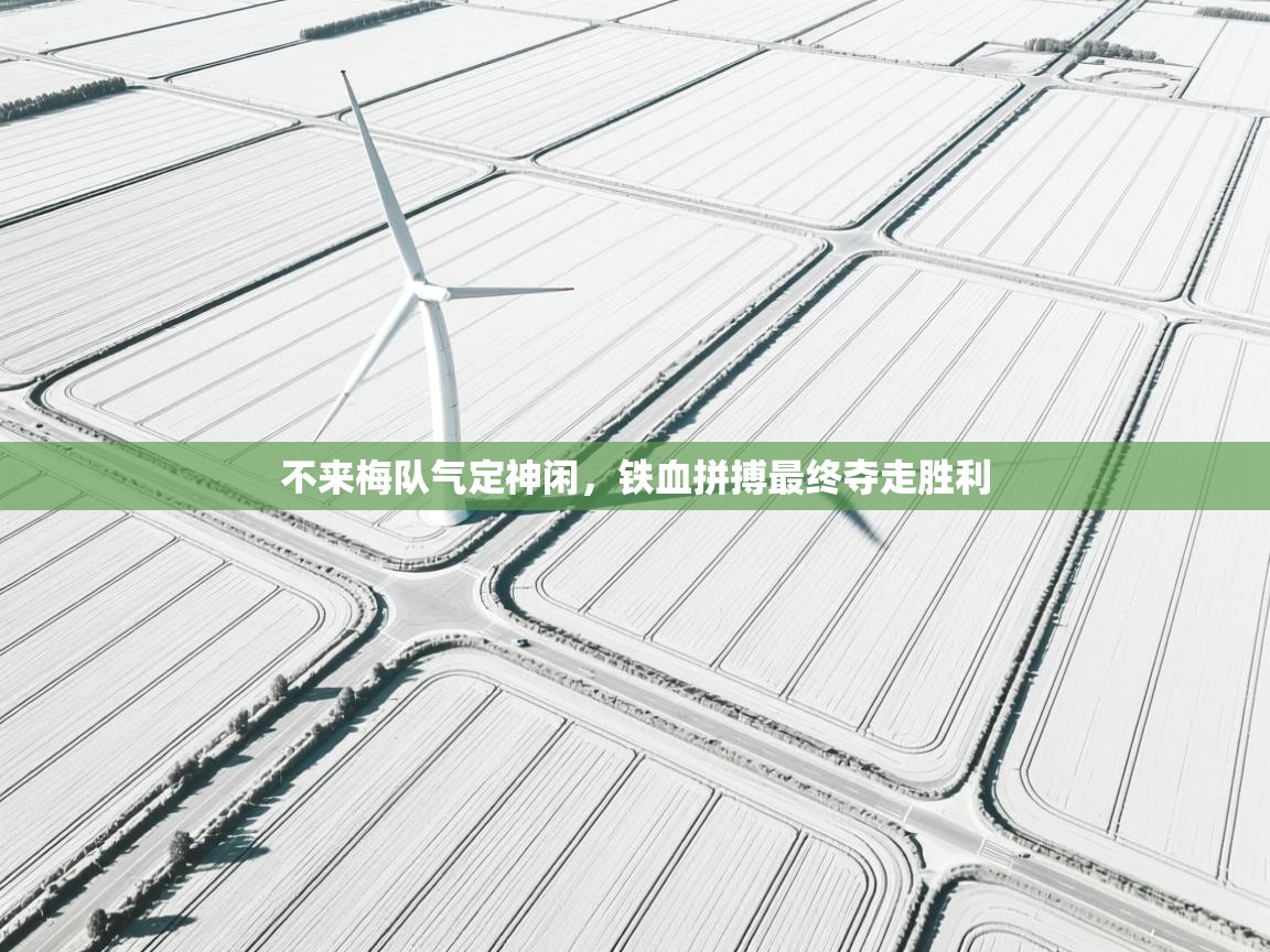 不来梅队气定神闲，铁血拼搏最终夺走胜利  第2张